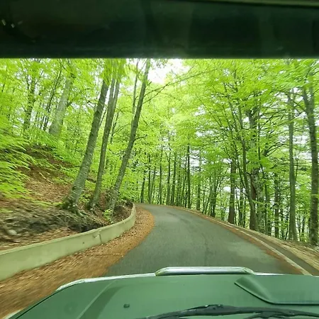 Guest house Elona's Kruje